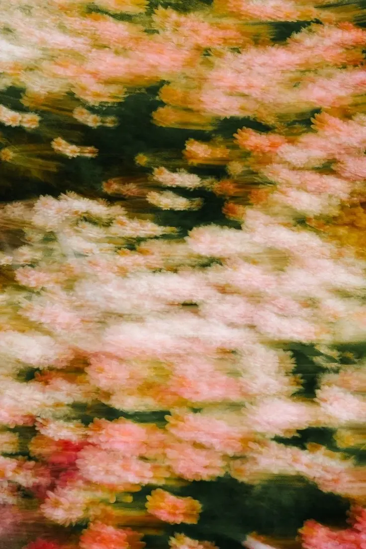 A motion-blurred field of pink and peach flowers