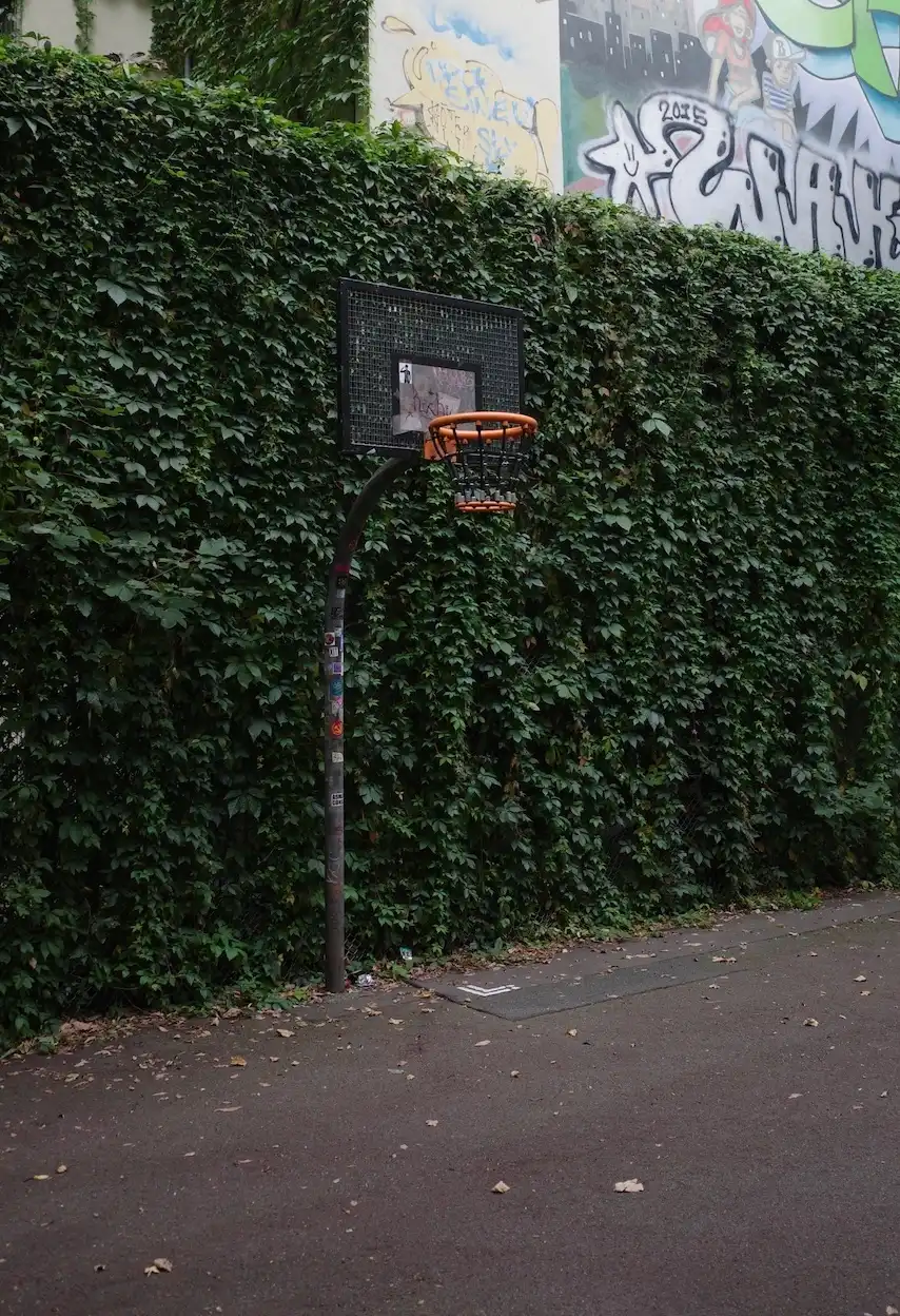 A basketball hoop against an ivy-covered wall with graffiti above